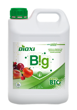 Dioxi Big