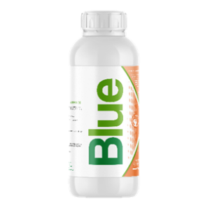 Dioxi Blue