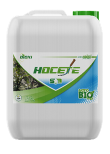 Dioxi Hocete