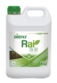 Dioxi Rai