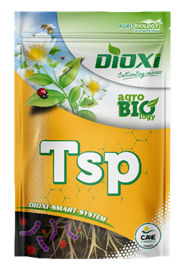 Dioxi Tsp