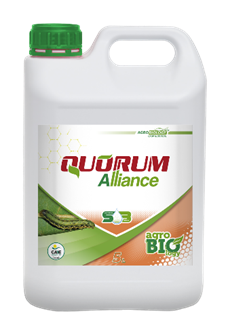 Quorum Alliance