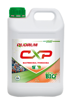 Quorum CXP